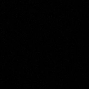 Meet your Posher, Natalia